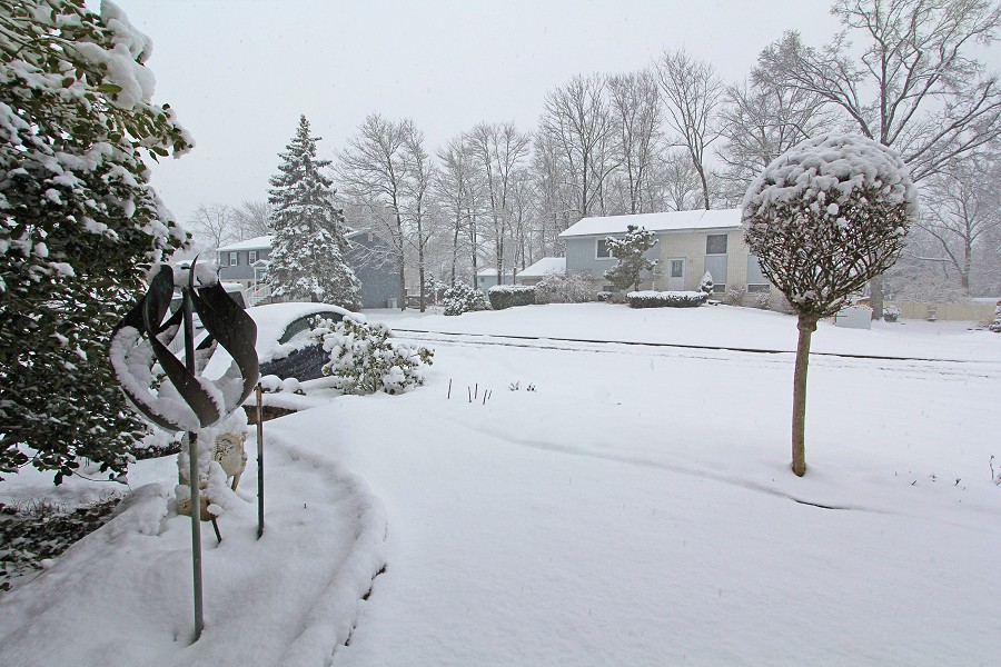 [Spring Day Snow]