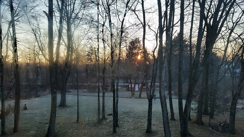 [First Day of Spring]