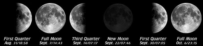 [Moon Phases]