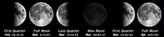 [Moon Phases]