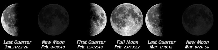 [Moon Phases]