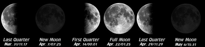[Moon Phases]