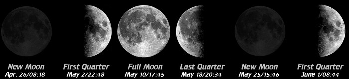 [Moon Phases]