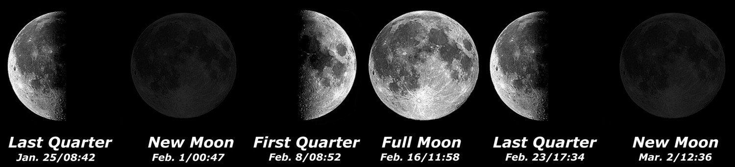 [Moon Phases]