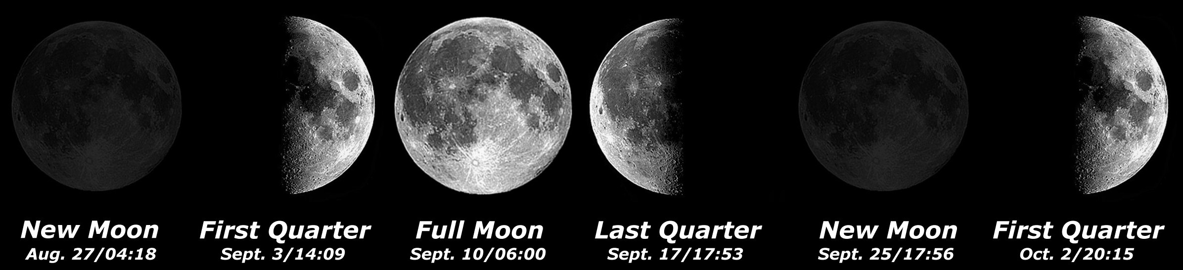 [Moon Phases]